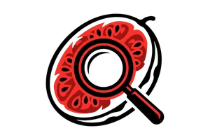 桃花在线观看视频动漫 - 吃瓜社Logo